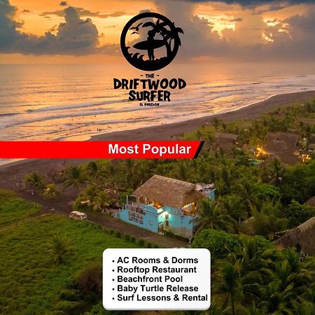 The Driftwood Surfer Beachfront Hostel / Restaurant / Bar, El Paredon El Paredón Buena Vista 외부 사진